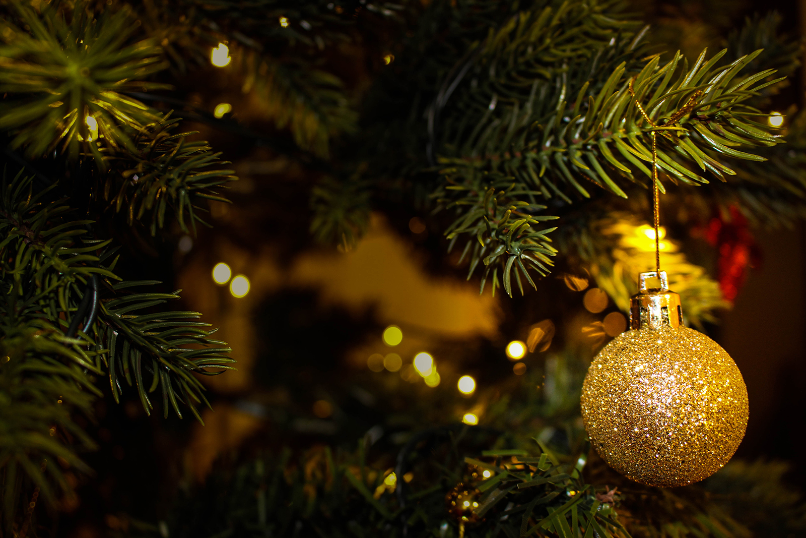 Christmas ball NW50007